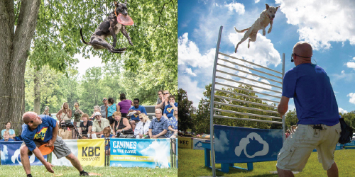The Ultimate Sport, Stunt and Trick Dog Show